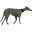 Ellafrancessanders Icon