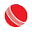 Discount Cricket Outlet Icon