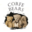 Corfe Bears Icon