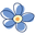 Cornish Blooms Icon