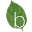 Basilico Icon
