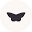Black Butterfly Icon