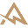Amplifier Icon