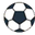 Thesportdisplays Icon