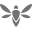 Apidura Icon