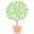 Lemon Tree Cards Icon