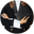 An Organised Life Icon