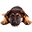 Premier Ink Icon