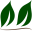 Nematodes Direct Icon