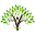 Tree for Life Icon