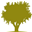 Olio&Olive Icon