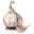 Garlic Gourmay Icon