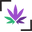 Chroniccanvas Icon