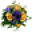 Lauraflorist Icon