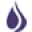 The Soap Kitchen Icon