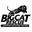 Big Cat Rescue Icon