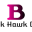 Blackhawk Corp. Icon