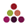 Strictly Wine Icon