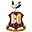 Bradford City Football Club Icon