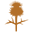 Marchbrae Icon