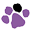 Splendid Pets Icon