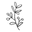 Kutuu Icon