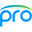 Display Pro Icon