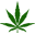 Weed World Icon