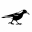 Magpie Poundbury Icon
