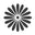 Letterbox Flowerrds Icon