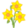 Isles Of Scilly Flowers Icon