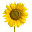 Garden Goodies Icon