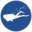 Diving Direct Icon