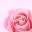 The Wedding Veil Shop Icon