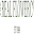 The Real Flower Company Icon