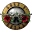 Guns N’ Roses Icon