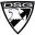 DSG Arms Icon