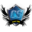 Clearview Shields Icon