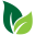 BotanicalSpirit Shop Icon