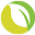 Organic-supply Icon