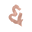Blush & Whimsy Icon