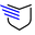 The Badge Life Icon