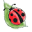 My Little Baby Bug Icon