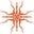 Sun God Medicinals Icon