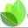 CBD.co Icon