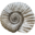 Dorset Hideaways Icon