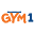 Gym1 Icon