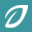 Skin Beauty Solutions Icon