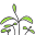 Seedsheet Icon