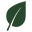 Innisfree USA Icon